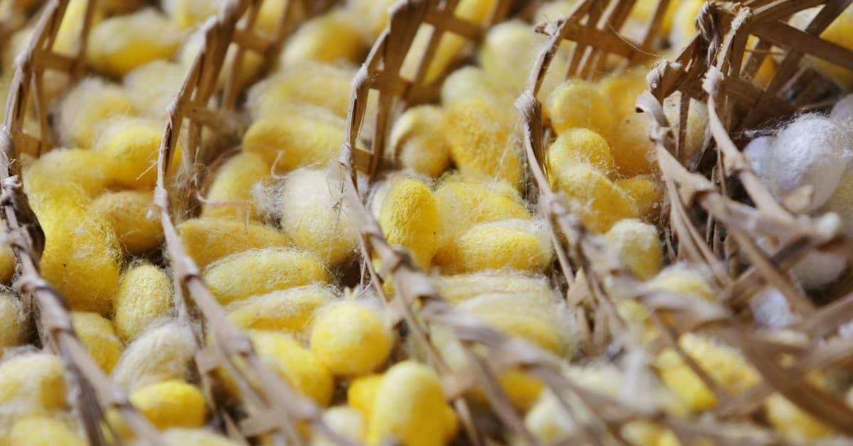 KSSO supporting farmers