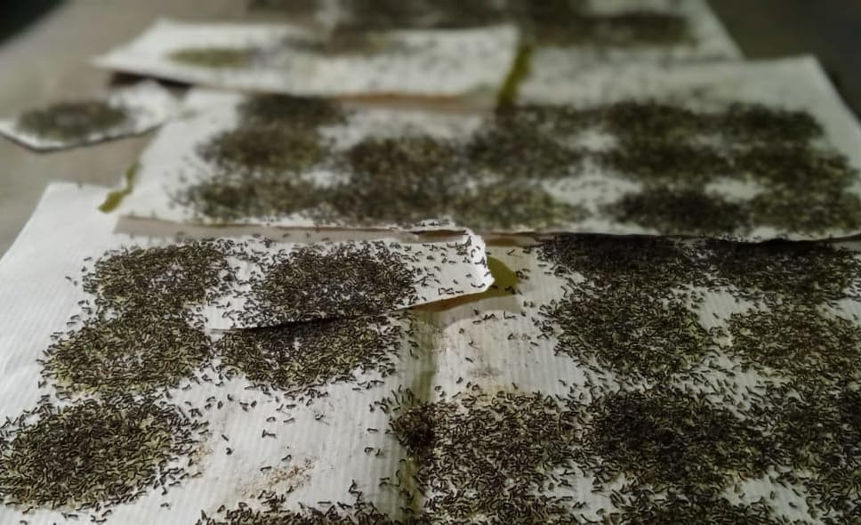 Research & Development (R&D)